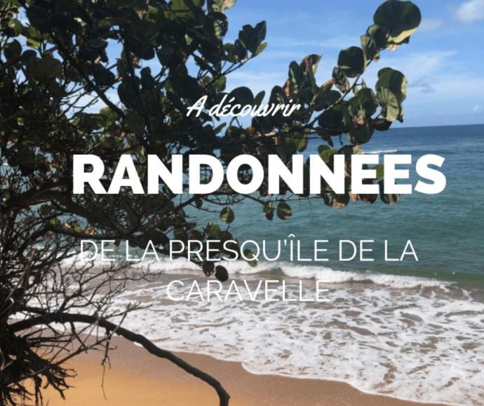 Ananas Premium - Sejour Detente T2 Vue Mer Avec Balcon Prive A Tartane Trinite  Esterno foto